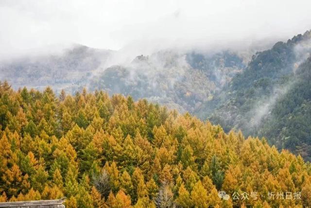 擦亮“世界文化遗产”金字招牌——五台山景区加强文化遗产保护利用推进文旅融合发展