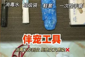 上门喂宠爆火，有人兼职就能月入过万？铲屎官约吗图片