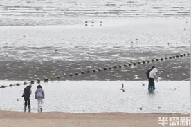 青岛一浴大退潮图片
