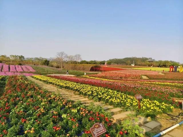 元旦嗨玩钦州，专属景区优惠合集来啦~