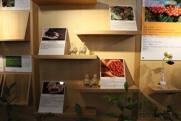 咖啡为媒，让云滇文化借助航空枢纽走向世界