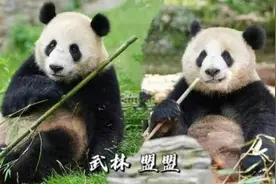 刚刚官宣！武汉动物园开园时间确定图片