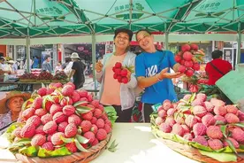 近2700吨海南荔枝抢“鲜”送达图片