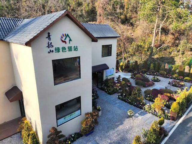 先到先得！快来江夏这里免费领菊花→