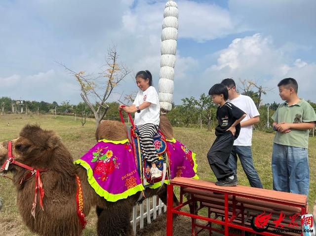 乐享“双节”假期 潍坊昌乐打造多元县域旅游体验