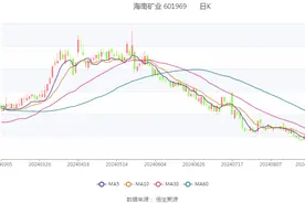 海南矿业：2024年上半年净利润4.03亿元 同比增长33.16%图片