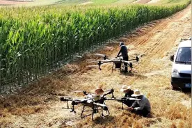 无人机洒药“飞来横祸”，作物受损谁负责？律师观点来了→图片