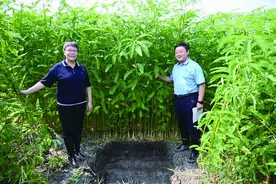 “碱巴拉”种草记图片