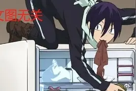 居民养多只流浪猫爬进邻居家拆家赔万元 法院：未进行合理约束放任流浪猫随意活动图片