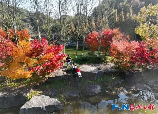 颜值巅峰！福州这个宝藏村落，正上演年度色彩盛宴！