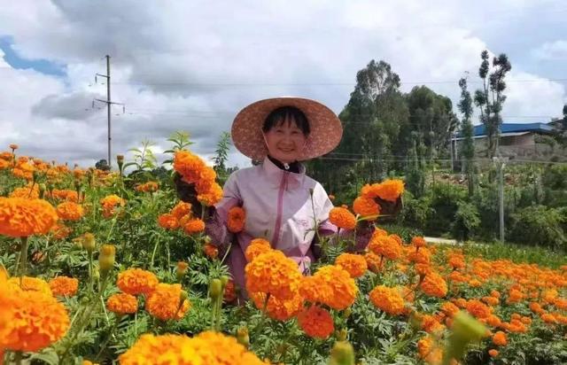 弥勒这里值得一去！好吃、好玩、好看…