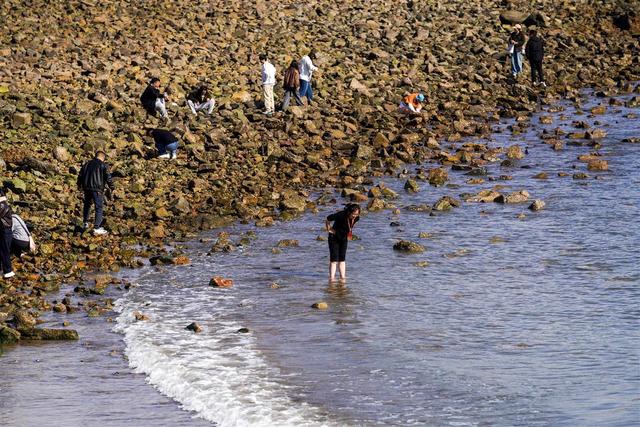 山海之城青岛的流量密码