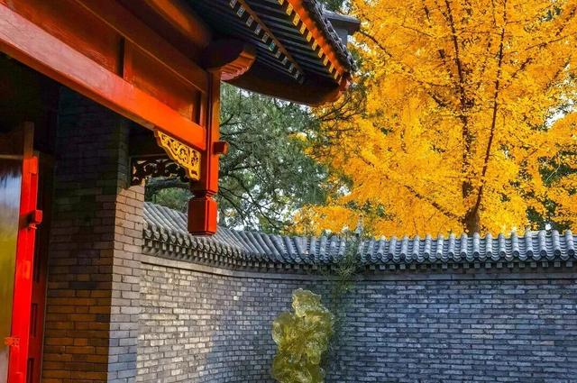 人少景美！北京这些古刹红叶正在最佳观赏期！