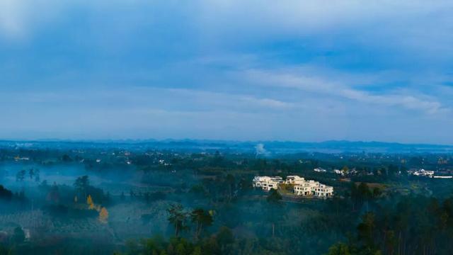 蒲江「村咖指南」