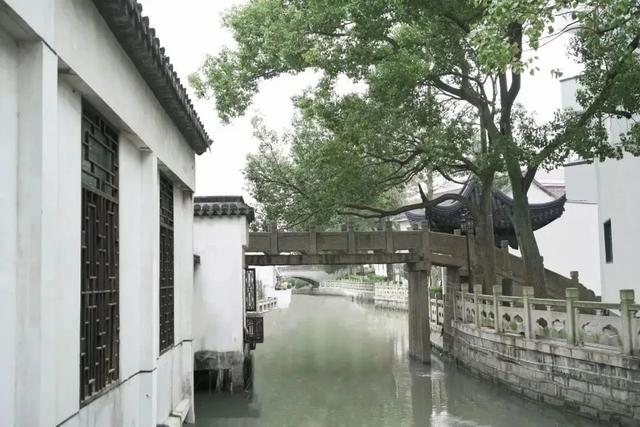 奉贤庄行老街+郊野公园，带爸妈重温江南旧梦