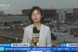 二十国集团领导人第十八次峰会今起在印度举行图片