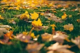 2025金子般的9句话，送给所有人！图片