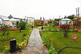 灵武市第四届桑葚文化大集启幕 百年桑园邀客共赴端午田园盛会图片