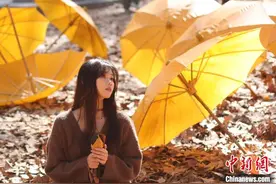 梧桐树下体验非遗 东南大学初冬“限定美景”上线图片