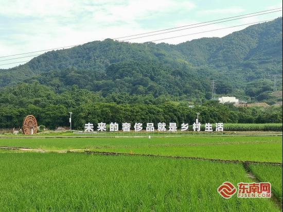 永春两天一夜漫游指南：探幽林、寻鹤拳、品醋香，解锁闽南低调“小桃源”！