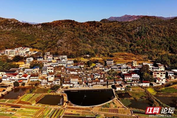 古村新韵：青砖黛瓦里的时光交响