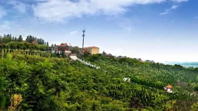 凭《731》电影票根，洛阳这12家景区免门票入园！