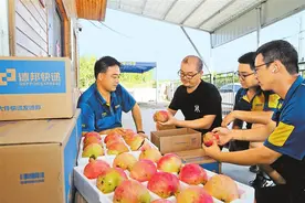 “最后一公里”亟待“舒筋活络”图片