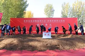 非笼养蛋鸡示范场落地平谷农业中关村图片