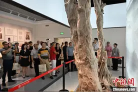 广州：“茶和世界”主题展览开幕图片