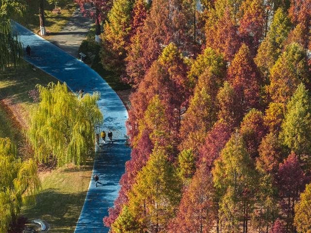 这座公园全面开放草坪，可以去露营了