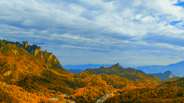 绝绝子！除了绝绝子，我还能怎么夸洛阳