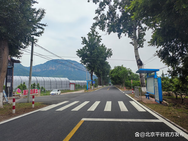 平关路藏着夏日凉方！摘桃、遛娃、喝咖啡一路开挂