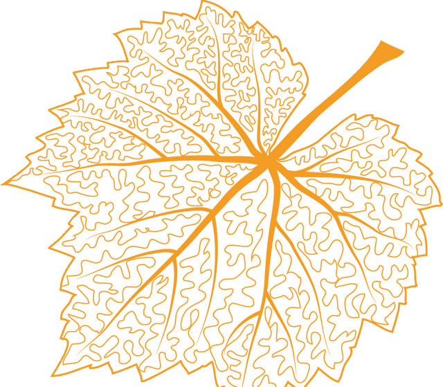 今日立冬！三个仪式解锁肥城初冬的终极浪漫！