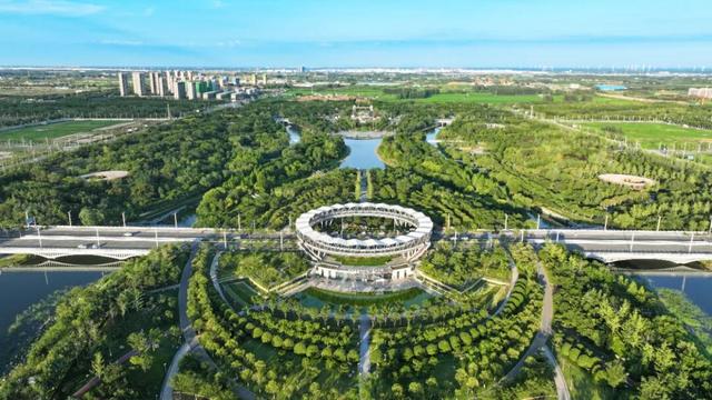郑州航空港，真不只会“飞”！