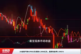 24金鼎产融SCP002交易量0.2000亿元，最新收益率2.5002%视频封面