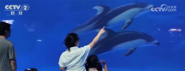 新供给激发夏日文旅消费新动能 暑期市场释放高质量发展“新”潜力