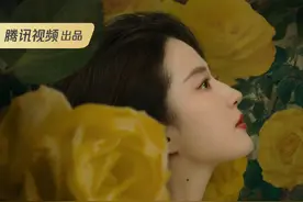 追剧普法：《玫瑰的故事》中都有哪些法律问题图片