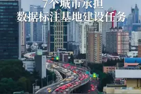7个城市承担数据标注基地建设任务图片