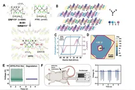 里程碑式重大突破！中国科学家最新发现→图片