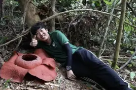 小猪佩奇的原型不是猪？这位博士讲的知识太冷了！图片
