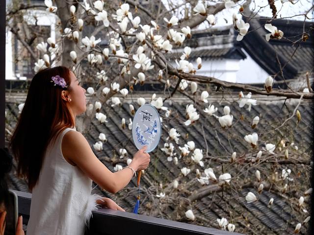 春暖中国｜万物生辉时：鲜花次第开，芬芳入画来