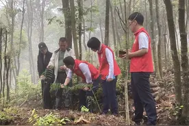逐绿而行，福建农信为美丽福建赋能图片