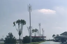 非主流欠成熟的微风发电，何以频频与地方签下“百亿大单”？︱晨读能源图片