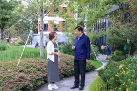 一周连连看丨黄浦两条“落叶不扫”景观道等你来打卡；老城厢的这处小梁薄板房综合改造，即将迎来结构封顶……图片