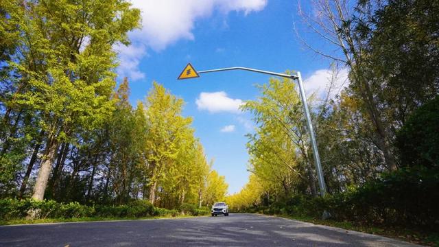 来崇明新海镇，邂逅鎏金般的美好