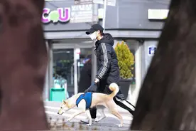 克隆去世的宠物，韩国网友这一做法引争议图片