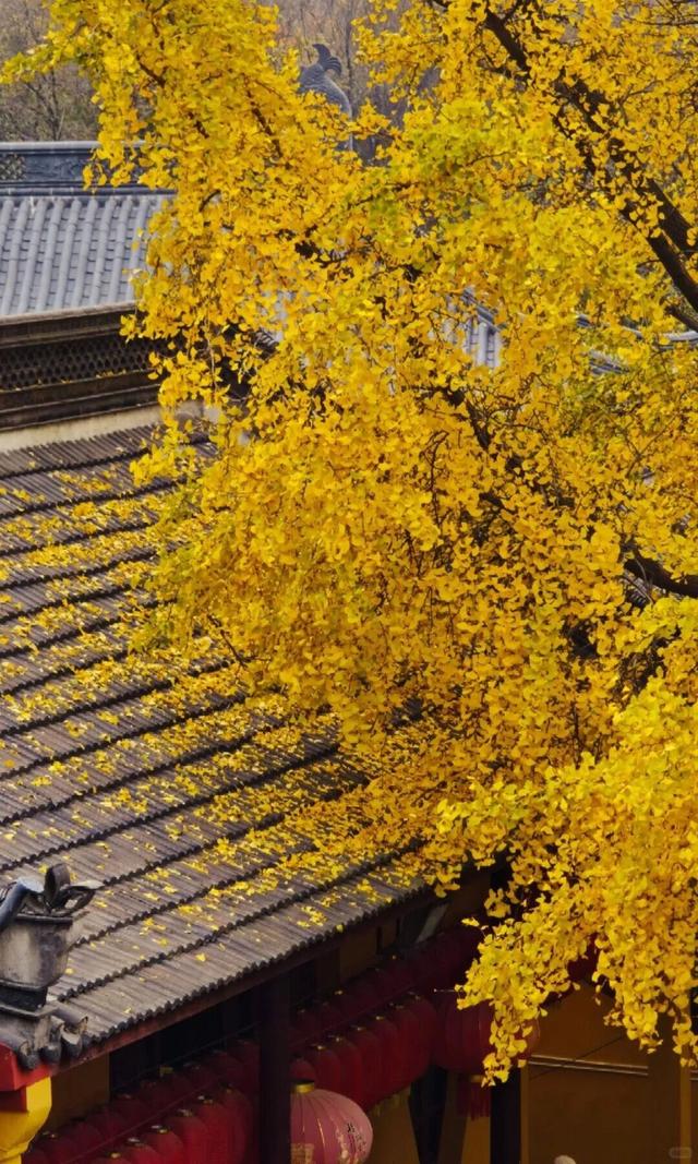 当代人需要的情绪价值，镇江给你！