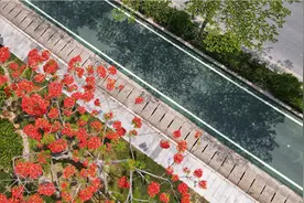 踏青赏景、追逐浪漫落日、海胆尝鲜……大鹏新区南澳“保姆级”打卡攻略来了图片