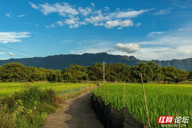 岁暖时刻丨秋访茶源渡：一段隐藏在山水间的峥嵘岁月