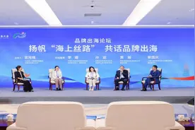 宫月晴：“抱团出海”是一种企业间的合作模式图片
